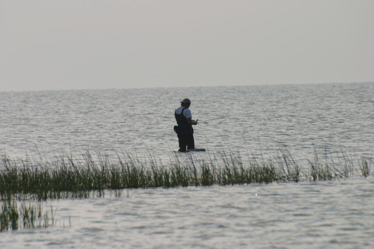 Just fishing